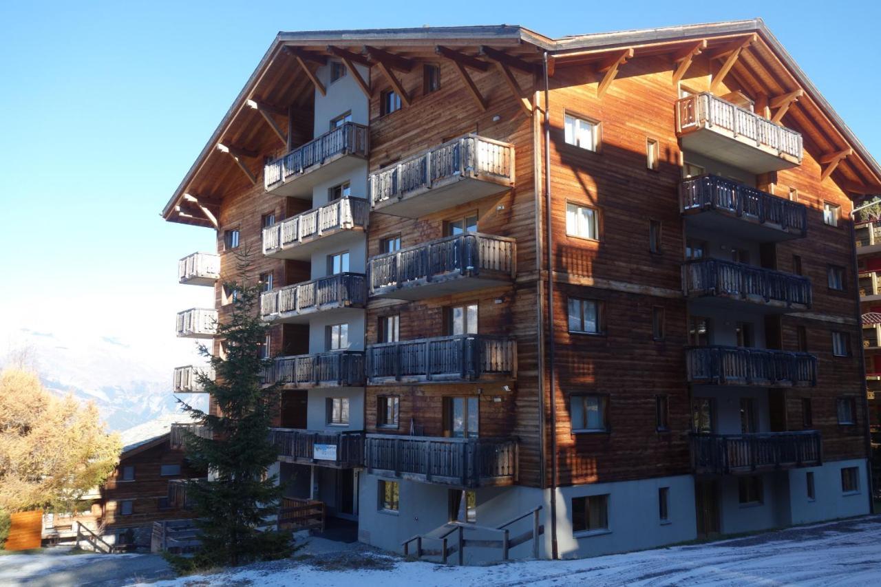 Pracondu 1 Outdoor & Fun Appartement 1 Chambre Superieur Avec Balcon By Alpvision Residences Nendaz Exterior photo
