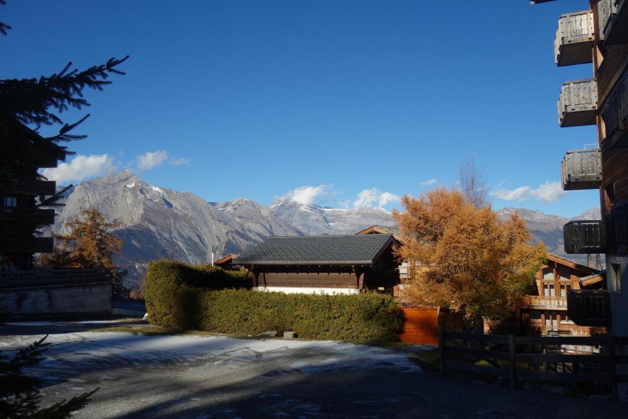 Pracondu 1 Outdoor & Fun Appartement 1 Chambre Superieur Avec Balcon By Alpvision Residences Nendaz Exterior photo