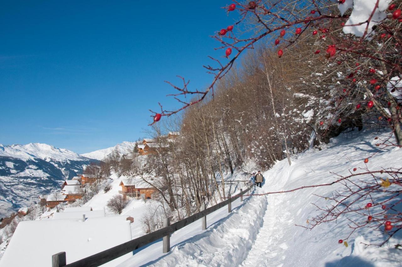 Pracondu 1 Outdoor & Fun Appartement 1 Chambre Superieur Avec Balcon By Alpvision Residences Nendaz Exterior photo