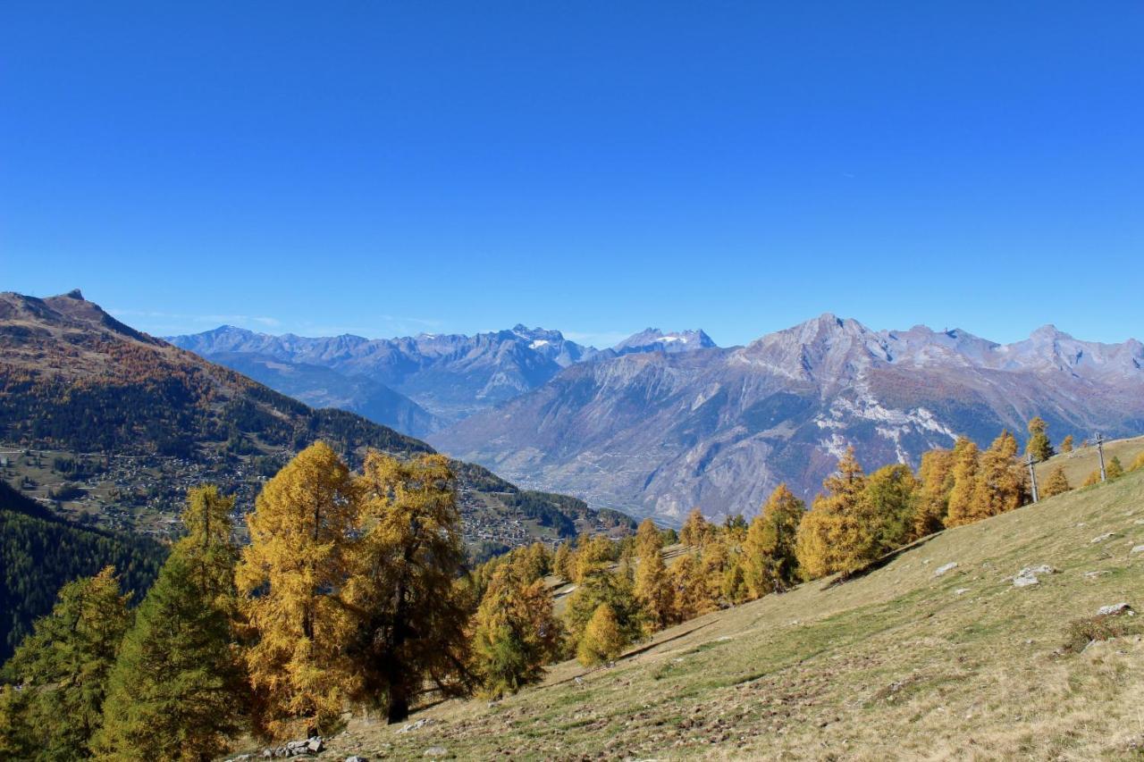 Pracondu 1 Outdoor & Fun Appartement 1 Chambre Superieur Avec Balcon By Alpvision Residences Nendaz Exterior photo