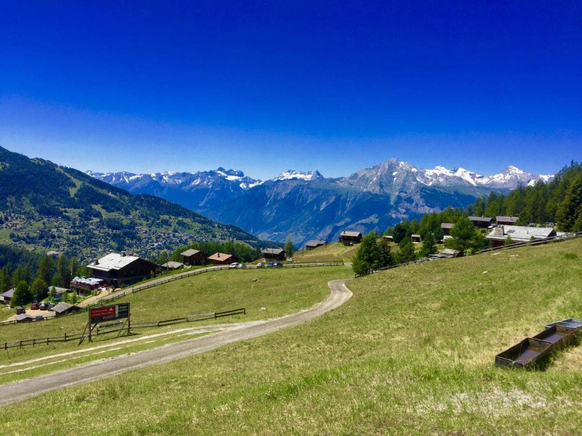 Pracondu 1 Outdoor & Fun Appartement 1 Chambre Superieur Avec Balcon By Alpvision Residences Nendaz Exterior photo